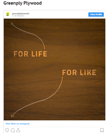 Greenply Plywood Campaign