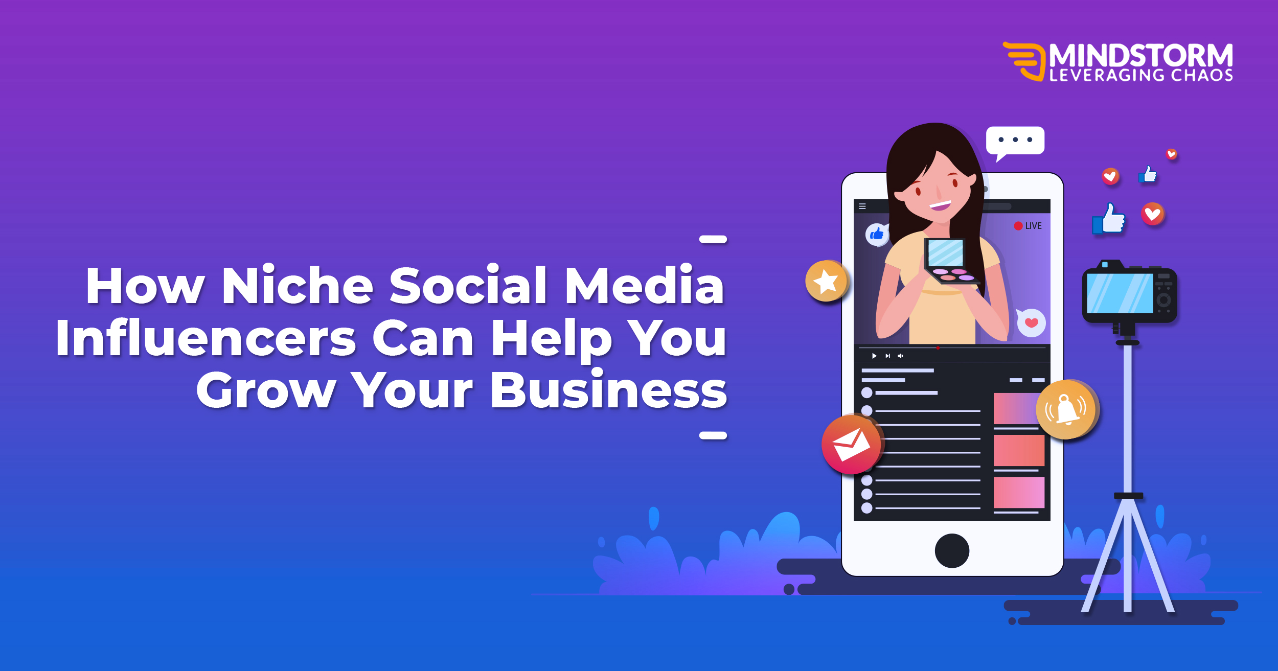 How Niche Social Media Influencers Can Help You Grow Your Business